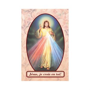 Image plastifiée « Jésus Miséricordieux », relique, Françai